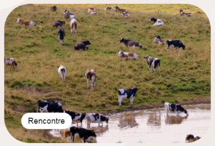 Agriculture et alimentation : quels impacts sur notre santé ? photo