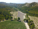 Example Image