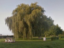 Example Image