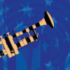 Example Image