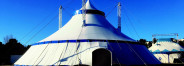 Example Image