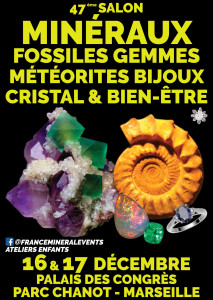 47ème Salon des Minéraux, Fossiles, Gemmes, Météorites, Bijoux et Bien-Être photo