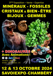 5ème Salon Minéraux Fossiles Cristaux & Bien-Être Bijoux et Gemmes  + Exposition photo