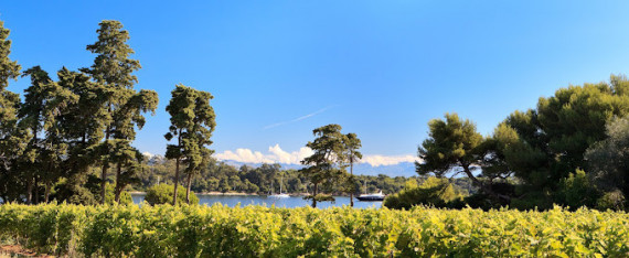 Abbaye de Lérins photo