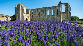 Abbaye de Maillezais photo
