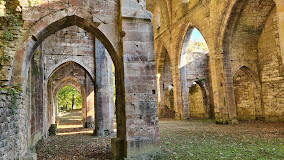 Abbaye de Trois-Fontaines photo