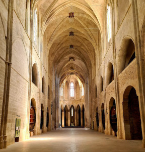 Abbaye Sainte-Marie de Valmagne photo