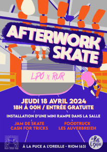 AFTERWORK Skatepark - La Puce a l'Oreille photo