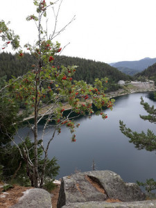 Aire de pique-nique photo