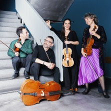 Amandine Beyer & le Kitgut Quartet photo