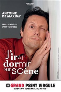 Antoine de Maximy dans J'irais dormi sur scène photo
