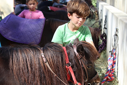 Assocation SAINT ESTEVE EQUITATION photo