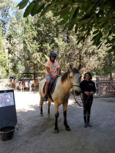 Aux Poneys De Delphine photo