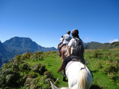 Baptêmes, cours, balades, randonnées La Réunion - Les chevaux du Maïdo photo