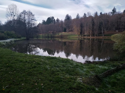 Base De Loisirs d'Etueffont photo