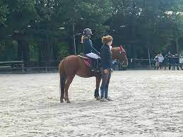Bel Ti Moun Poneys Club - Centre équestre photo