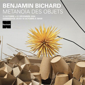 Benjamin Bichard, Metanoïa des Objets photo