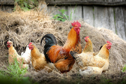 Bienvenue à la Ferme Bretagne photo