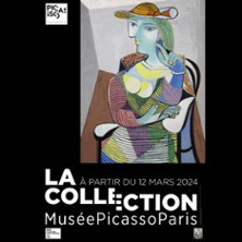 Billet Collection et Exposition - Revoir Picasso photo