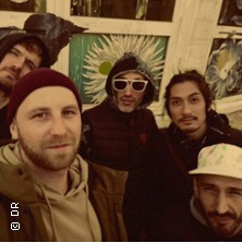 Biomania - Nouvel album "System D" photo