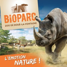 Bioparc Zoo de Doué-la-Fontaine photo