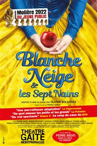 Blanche Neige et les sept nains photo