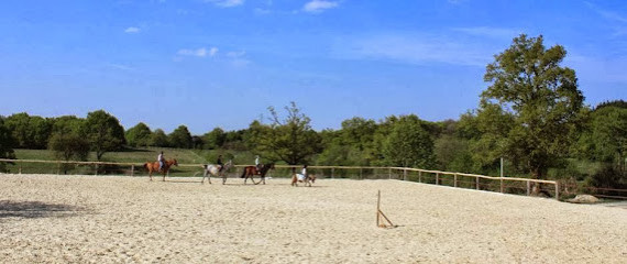 BLUE SHADE RANCH photo