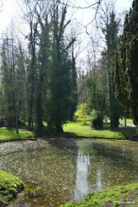 Bois Bonvallet photo