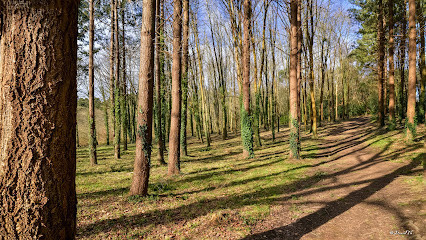 Bois de Bahurel photo