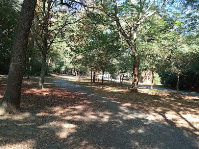 Bois de Limayrac photo