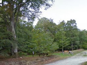 Bon plan pour un pique-nique sur Saint-Sauveur le Vicomte photo