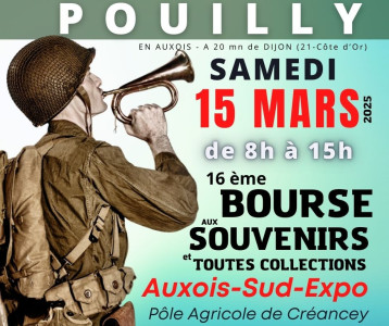 Bourse aux Souvenirs et Toutes Collections POUILLY EN AUXOIS photo