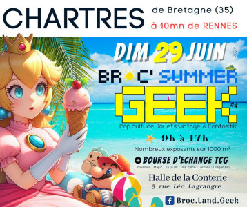 BROC SUMMER GEEK CHARTRES DE BRETAGNE (35) photo