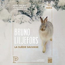 Bruno Liljefors. La Suède Sauvage photo