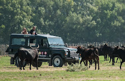 Camargue autrement safari 4X4 et vélo électriques photo