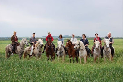 Camargue Equitation Loisirs en Nièvre photo