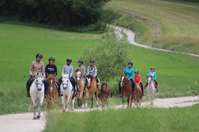 Camp de Noëlle-poney club des Tours à la montagne photo