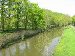 Canal de Fillé à Roëzé-sur-Sarthe photo