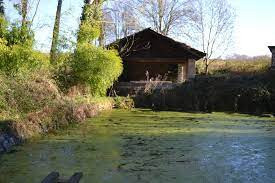 Canal de la Bourne photo