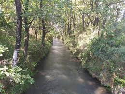 Canal de la Brillanne photo