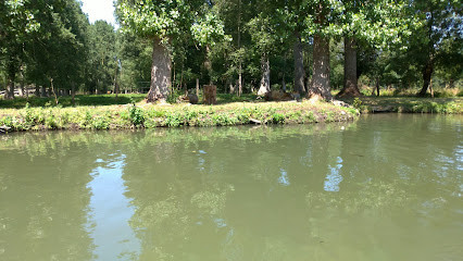 Canal de la Garette à Coulon photo