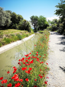 Canal de Manosque photo