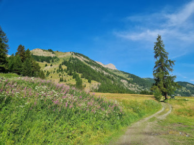 Canal de Pierre Dimanche photo