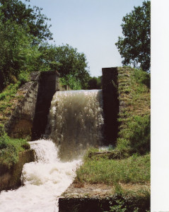 Canal des Alpines photo