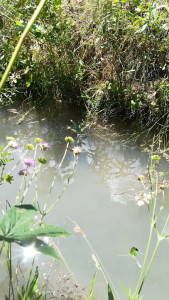 Canal des Queyrelles photo