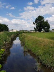 Canal du Moulin photo