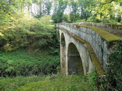 Canal du Nivernais photo