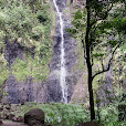 Cascade Tahiti photo