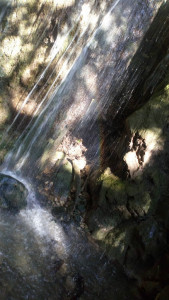 Cascade | Waterfall photo