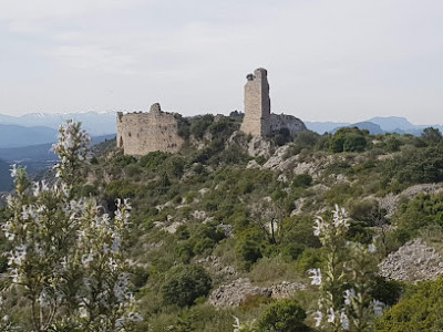 Castell de Talteüll photo